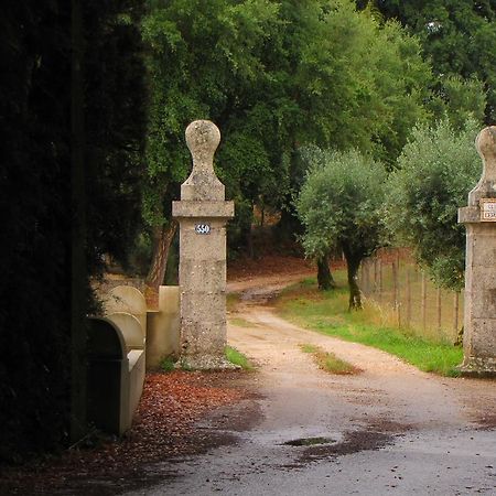 Quinta Do Cerquito Villa Ferreira do Zêzere Buitenkant foto