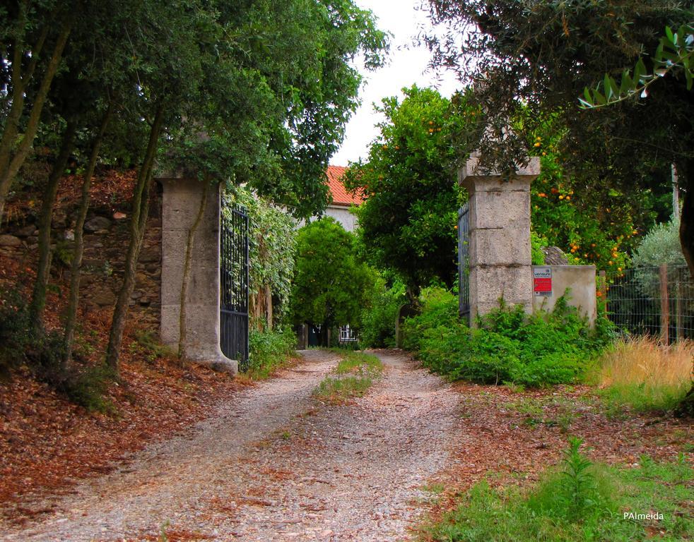 Quinta Do Cerquito Villa Ferreira do Zêzere Buitenkant foto