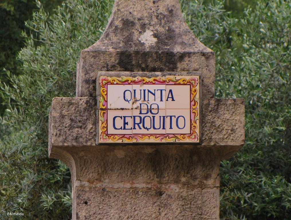 Quinta Do Cerquito Villa Ferreira do Zêzere Buitenkant foto
