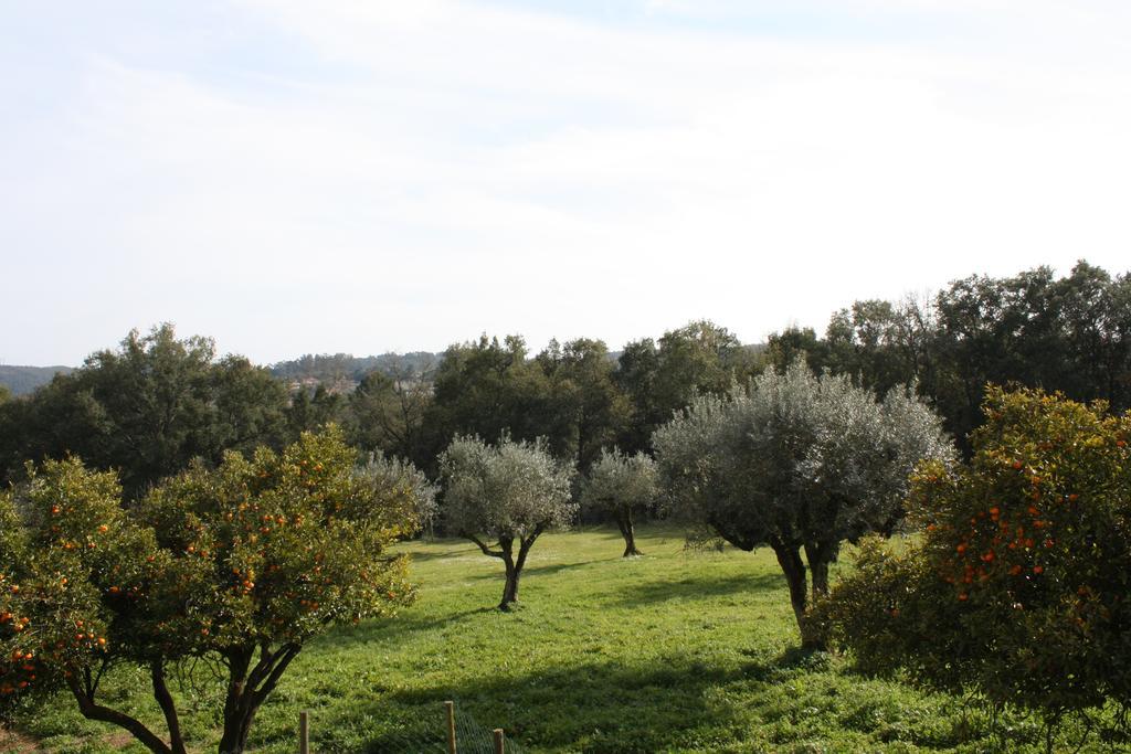 Quinta Do Cerquito Villa Ferreira do Zêzere Buitenkant foto
